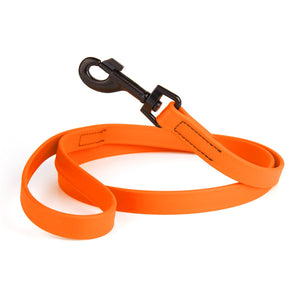 Biothane Waterproof Dog Leash 6 ft