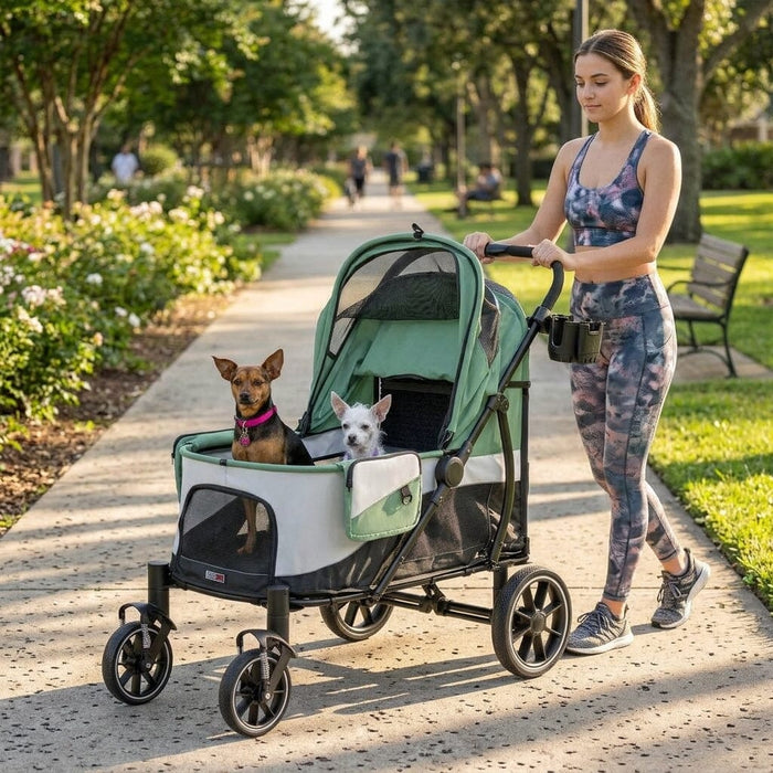 Powerhouse Pet Cruiser