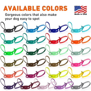 Biothane slip leads for dogs, waterproof and durable, 5ft and 7ft, 25 colors available