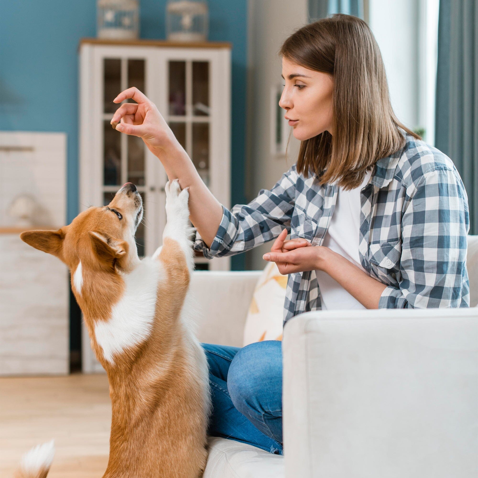 Multivitamin Chews For Dogs 9oz Jar (120 Count)