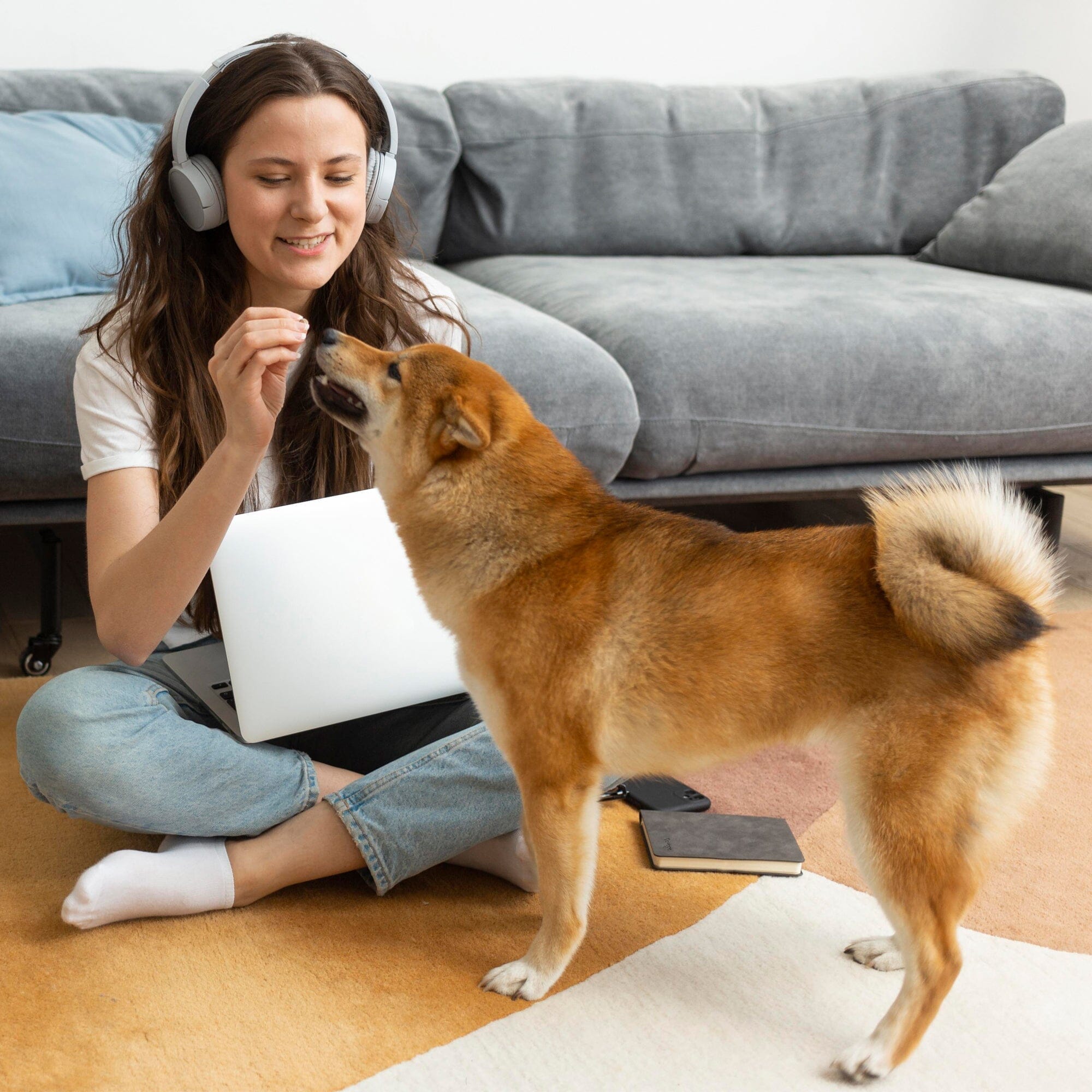 Multivitamin Chews For Dogs 9oz Jar (120 Count)