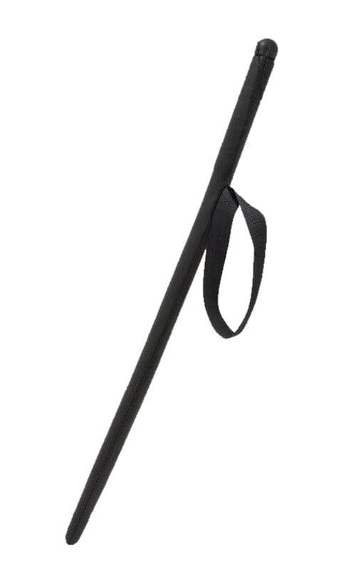 Agitation stick for dog training