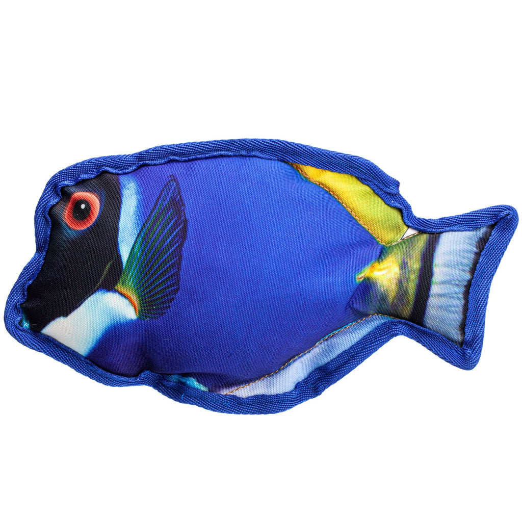 10" Tropical Tang Dog Fish Toy