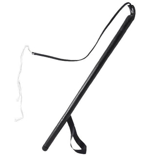 Agitation whip for dog training