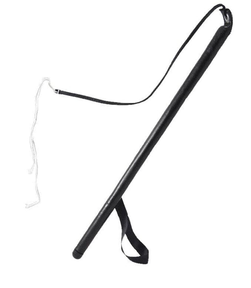 Agitation whip for dog training