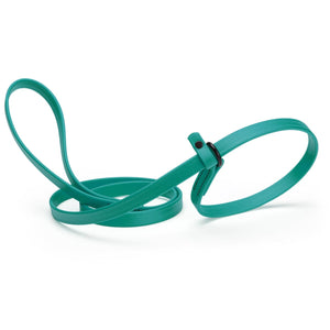 Aqua blue slip lead for dogs, made from waterproof Biothane, 5/8 inches wide