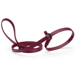 Merlot burgundy slip lead for dogs, made from waterproof Biothane, 5/8 inches wide