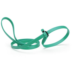 Teal slip lead for dogs, made from waterproof Biothane, 5/8 inches wide