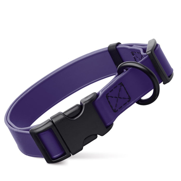Violet Purple dog collar with black quick release buckle and metal D-ring, adjustable, 3/4- or 1-inch wide, made from waterproof Biothane