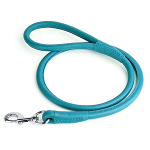 Teal leather dog leash with metal swivel clip, rolled design, 1/2 inches wide