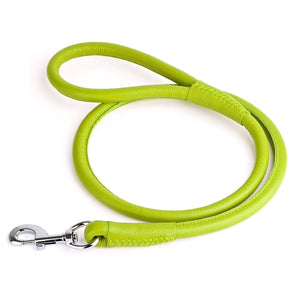 Lime green leather dog leash with metal swivel clip, rolled design, 1/2 inches wide