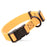 Tangerine Orange dog collar with black quick release buckle and metal D-ring, adjustable, 3/4- or 1-inch wide, made from waterproof Biothane