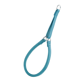 Teal leather martingale dog collar with metal hardware, round design