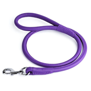 Purple leather dog leash with metal swivel clip, rolled design, 1/2 inches wide
