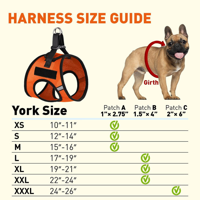 York Mesh Harness + Built-in Hook & Loop Fasteners