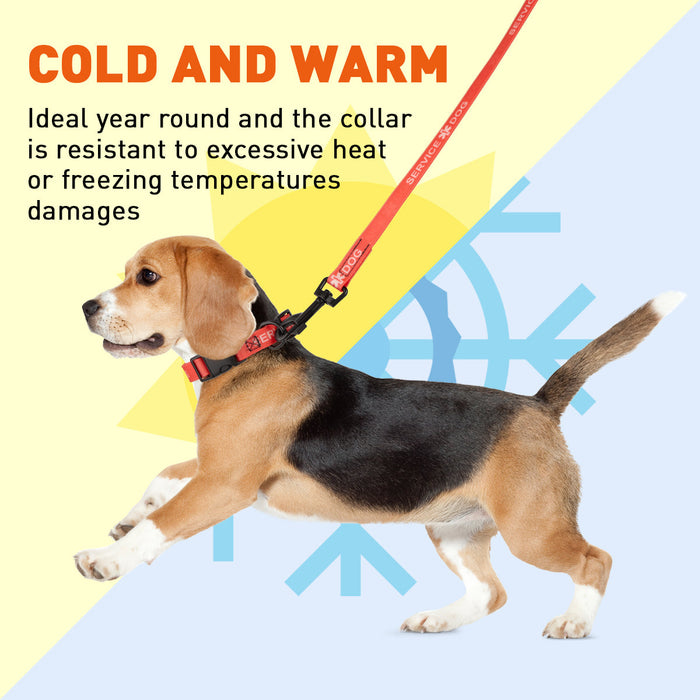 Biothane Service Dog Collar Or Leash