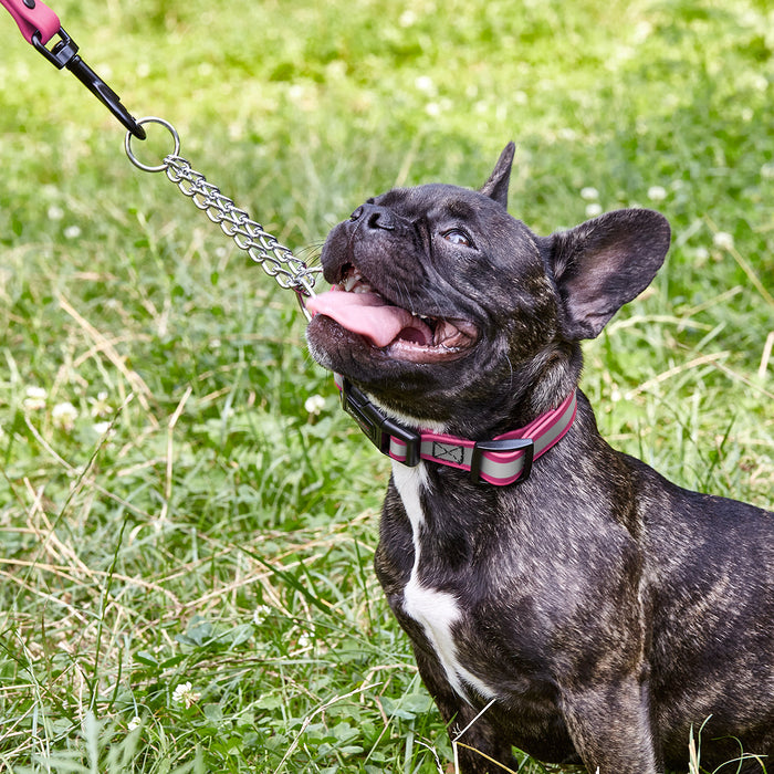 Reflective Biothane Martingale Collar with Quick Release Buckle