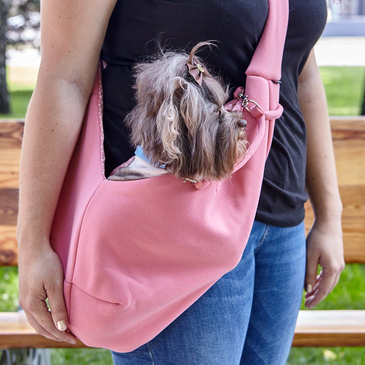 Small dog in a sling carrier