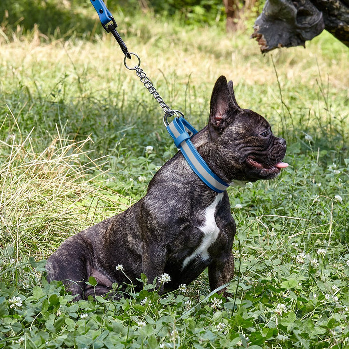 Reflective Biothane Martingale Collar