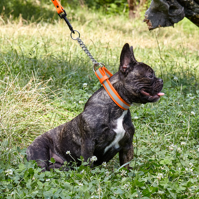 Reflective Biothane Martingale Collar with Quick Release Buckle