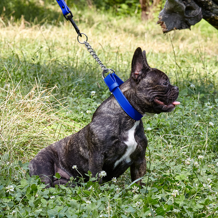 Biothane Adjustable Martingale Collar with Quick Release Buckle