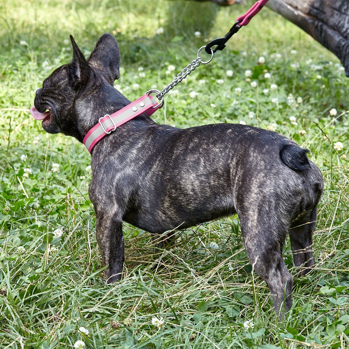 Reflective Biothane Martingale Collar