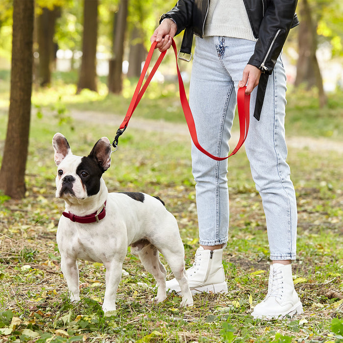 Biothane Adjustable Martingale Collar with Metal Buckle