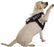 Dogline 3D Rubber Removable Patches for Dog Harness and Vest