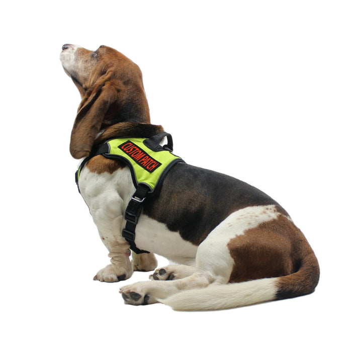 Dogline Do Not Pet Vest Patches – Removable Do Not Pet Patch 2-Pack with  Reflective Printed Letters for Support Dog Vest Harness Collar or Leash  Size