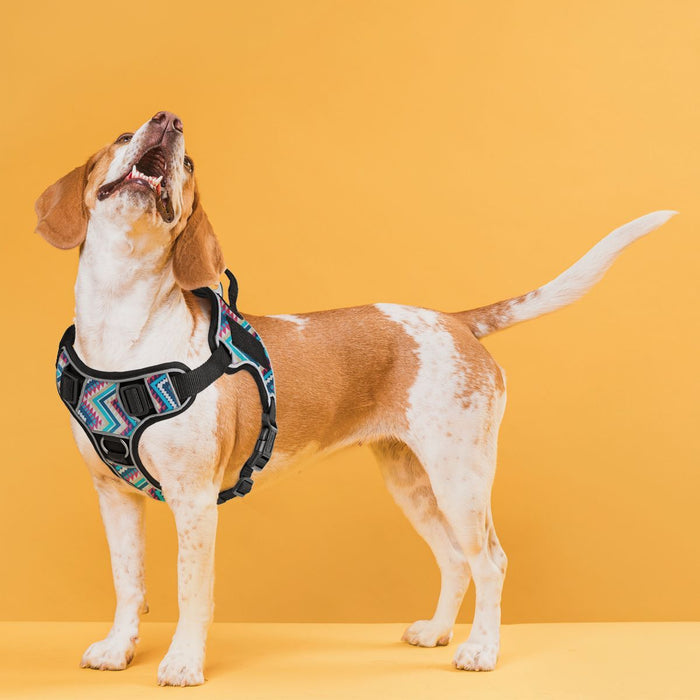 Reflective No-Pull Dog Harness