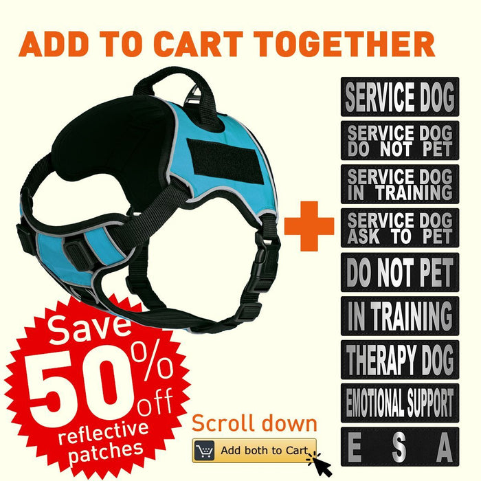 https://www.doglinegroup.com/cdn/shop/products/Dogline-Quest-harness-teal-patches-discount_700x700.jpg?v=1622012134