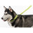 Comfort Microfiber Flat Dog Collar