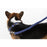 Comfort Microfiber Flat Dog Collar