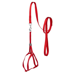 Step-In Nylon Dog Harness + Optional Flower Dog Leash
