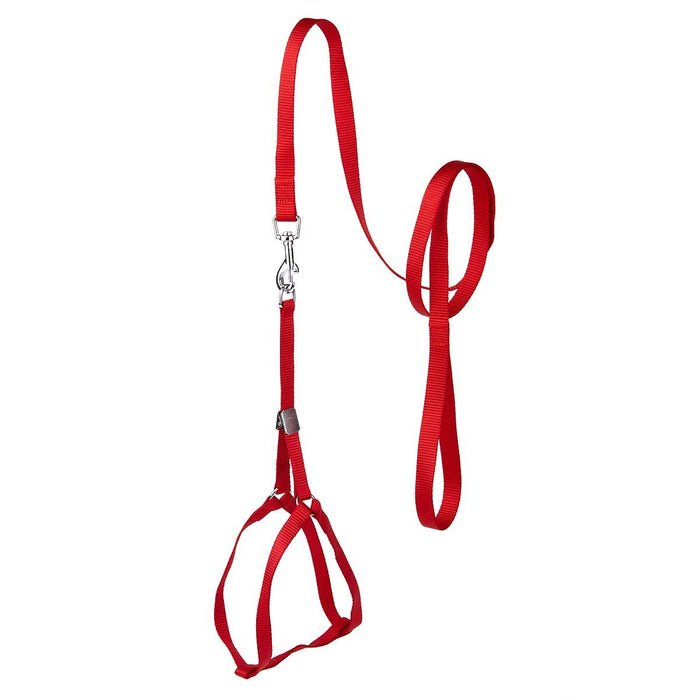 Step-In Nylon Dog Harness + Optional Flower Dog Leash