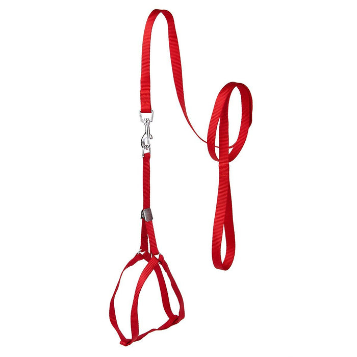 Step-In Nylon Harness + Optional Flower Leash