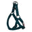 Teal nylon dog harness with quick release buckle and metal rings, flat step-in design