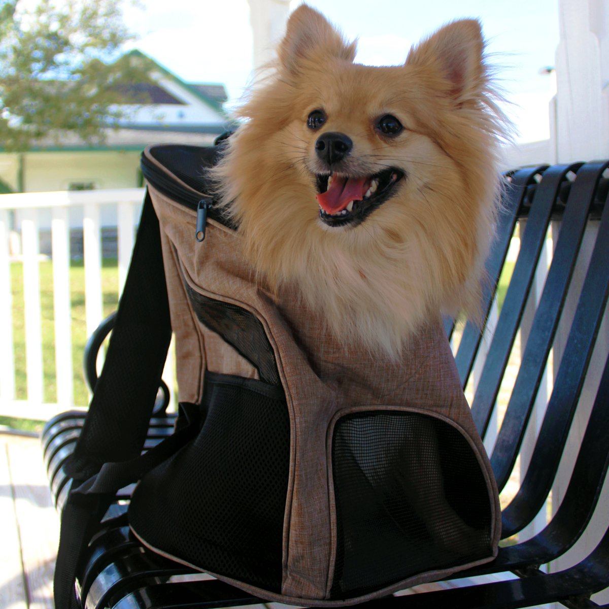 Dog carrier backpack for hiking and outdoor use