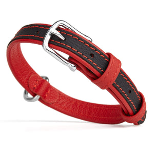 Black and red leather dog collar with metal buckle and D-ring