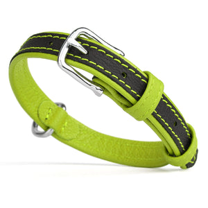 Black and green leather dog collar with metal buckle and D-ring