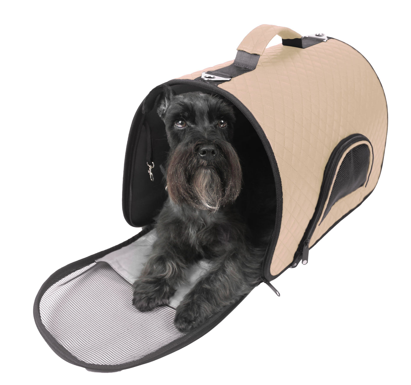 Dog carrier bag and purse-style options