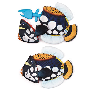 Tropical Crinkle + Bone Emperor Angelfish