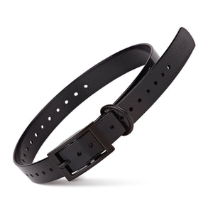 Translucent black Biothane dog collar