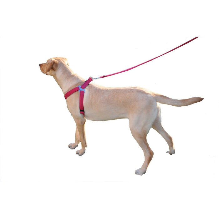 Comfort step in clearance harness for dogs