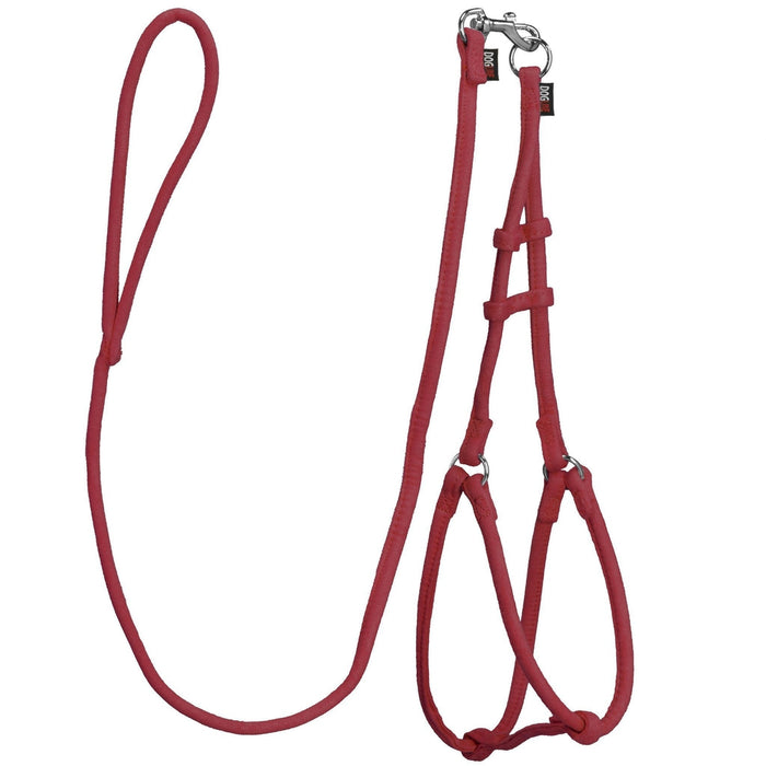 Comfort Microfiber Round Step-In Harness + Lead