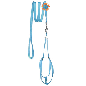 Blue nylon dog harness and dog leash set with optional flower decoration