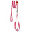 Red nylon dog harness and dog leash set with optional flower decoration