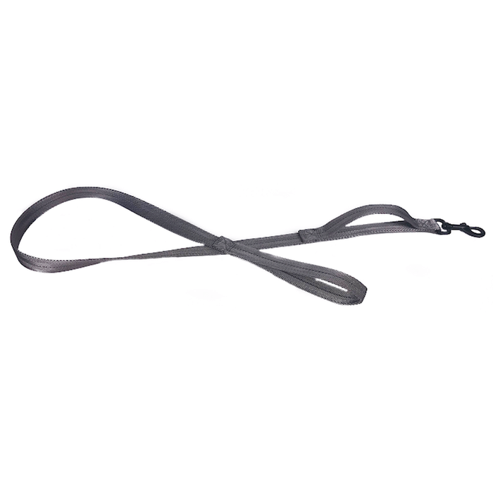 Nylon Flat Leash + Built-in Traffic Handle