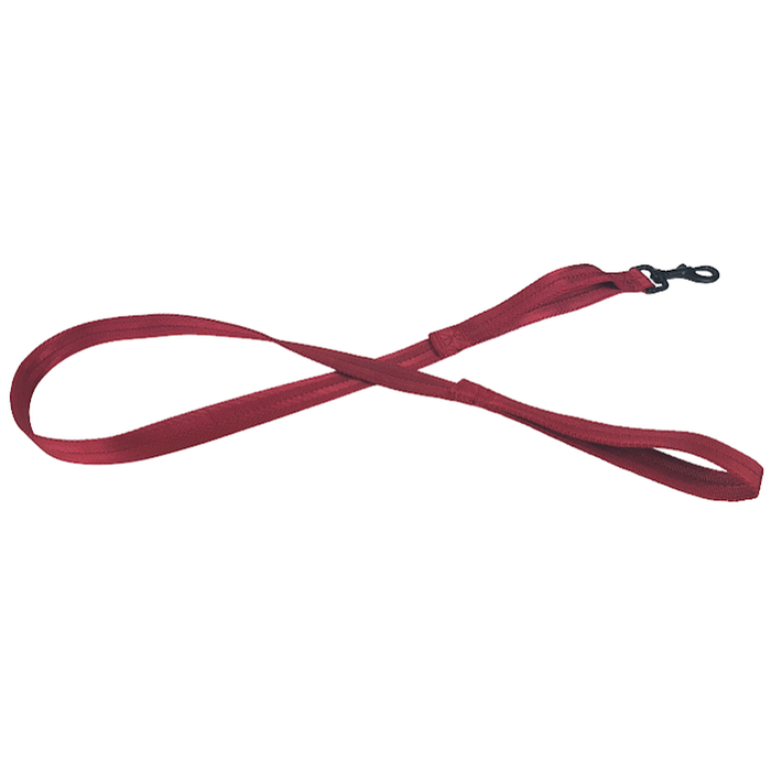 Nylon Flat Leash + Built-in Traffic Handle