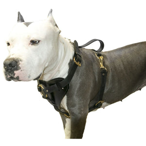 Viper Surge Biothane Working Dog Harness - Brass Hardware